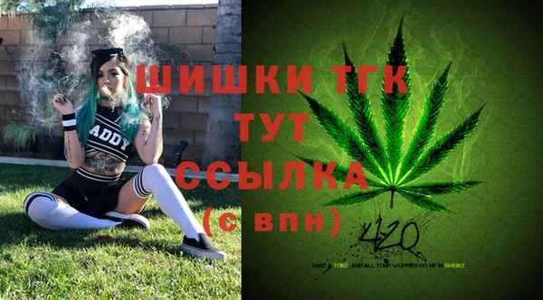 таблы Надым