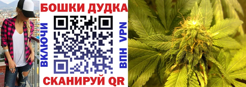 Канабис конопля Лосино-Петровский